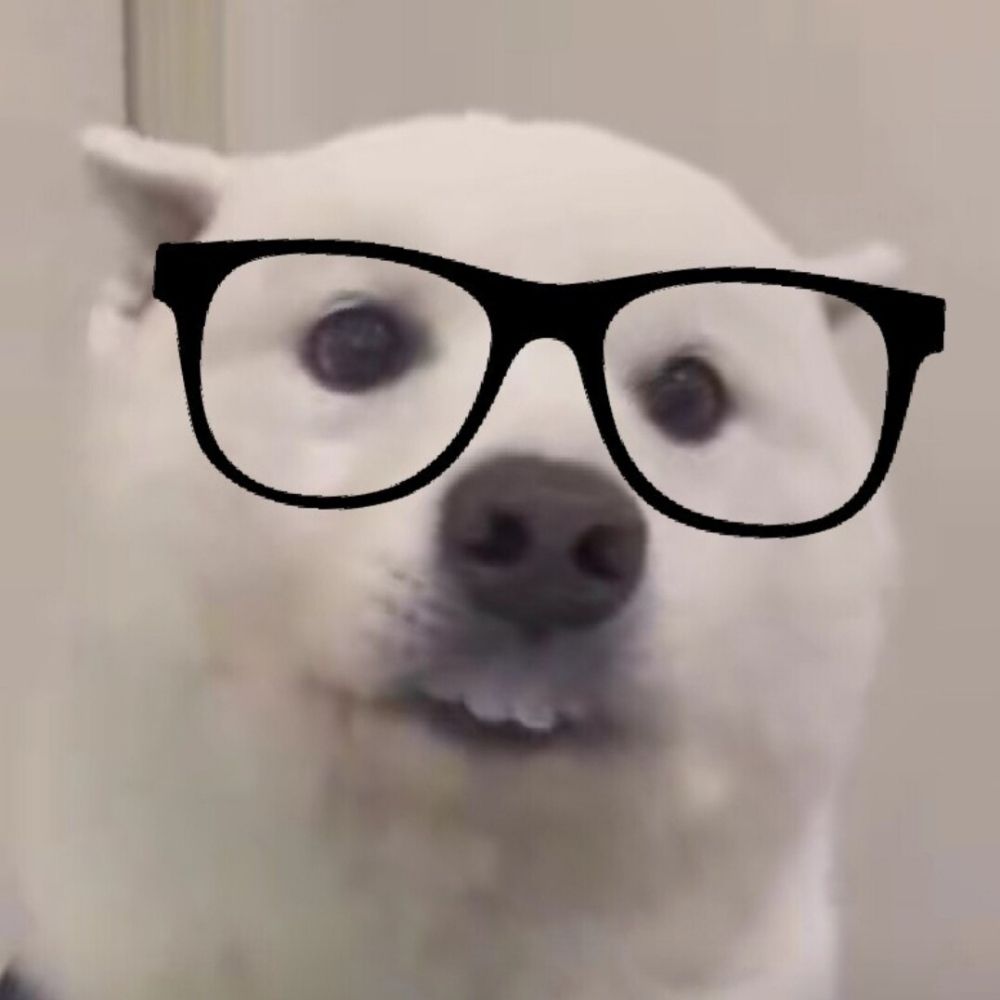 Radio Rakoon