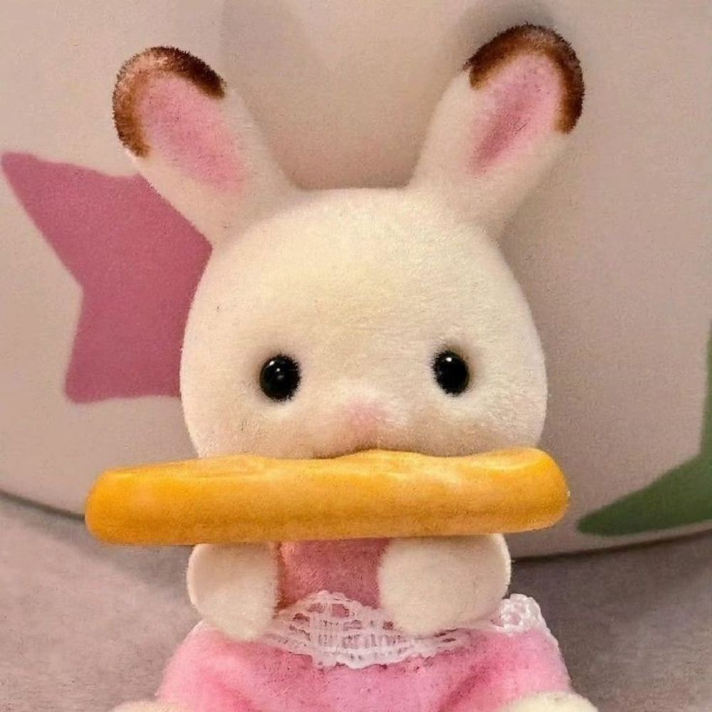🐇💌💭