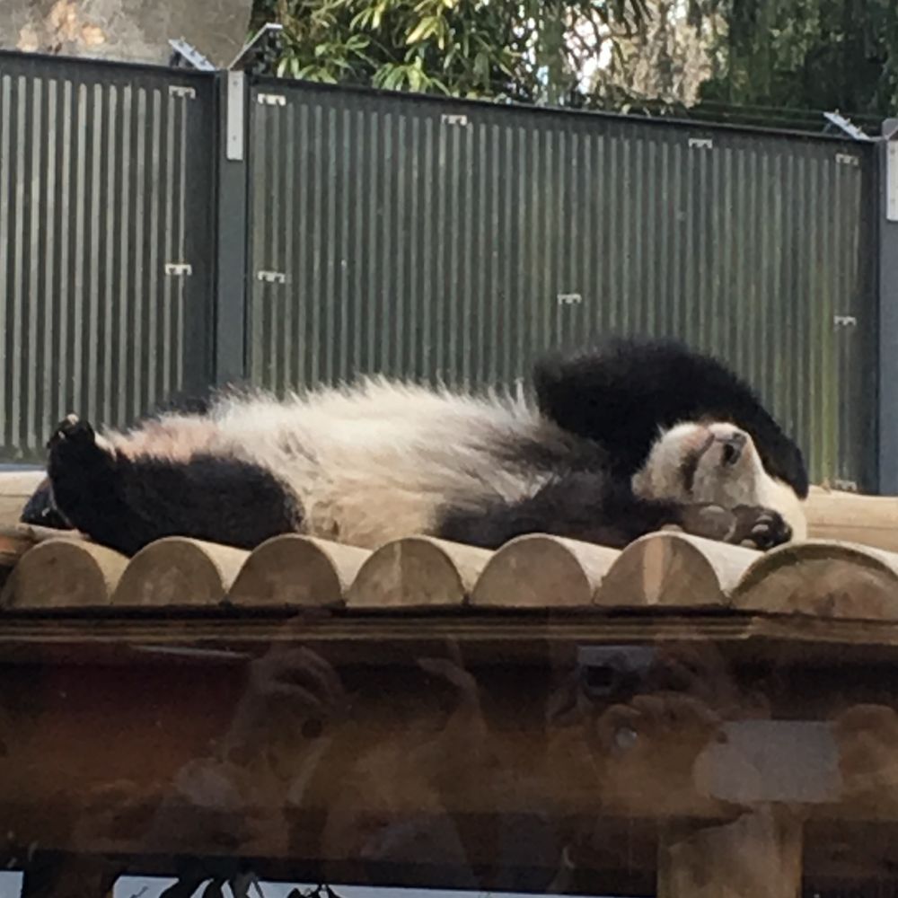つち