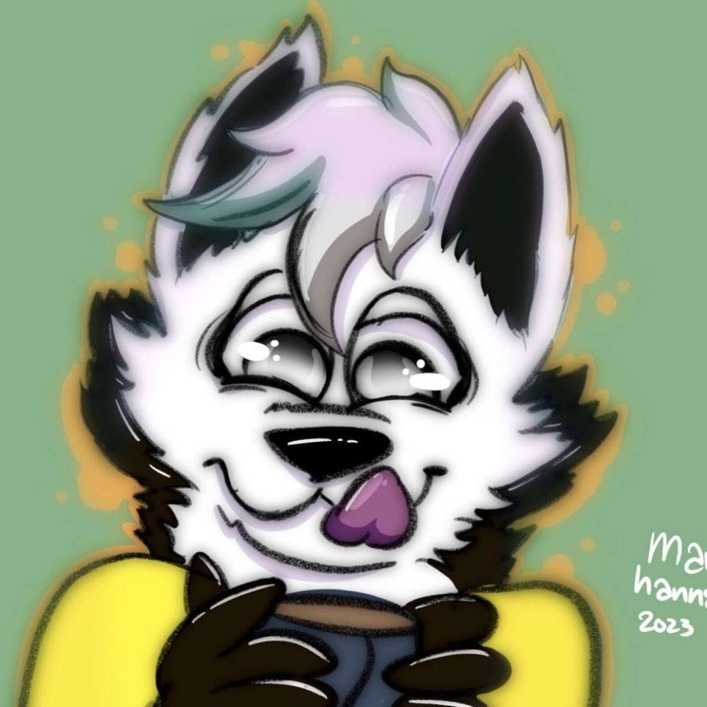 WolfSkySun! 💛🐺