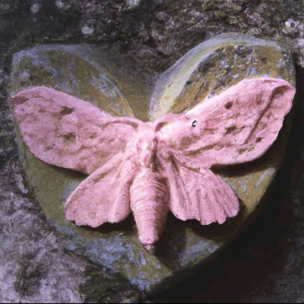 Ray.s2
