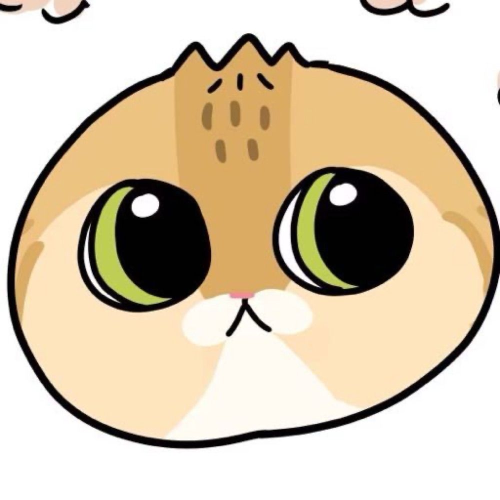 きょう🍤
