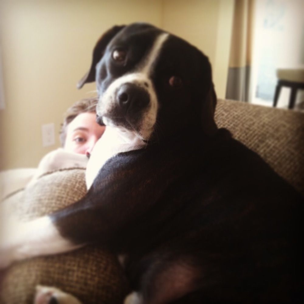 e-louie
