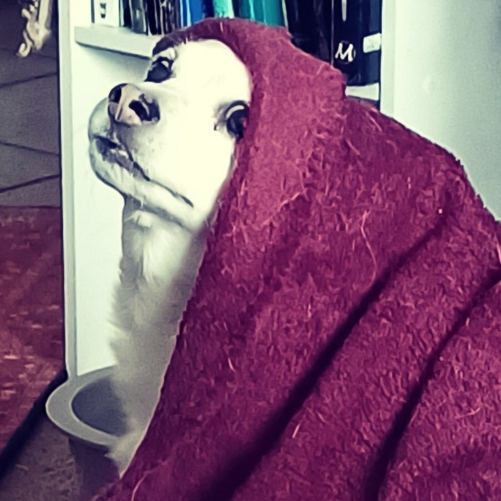 Sam