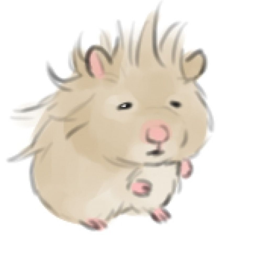 돼햄🐹