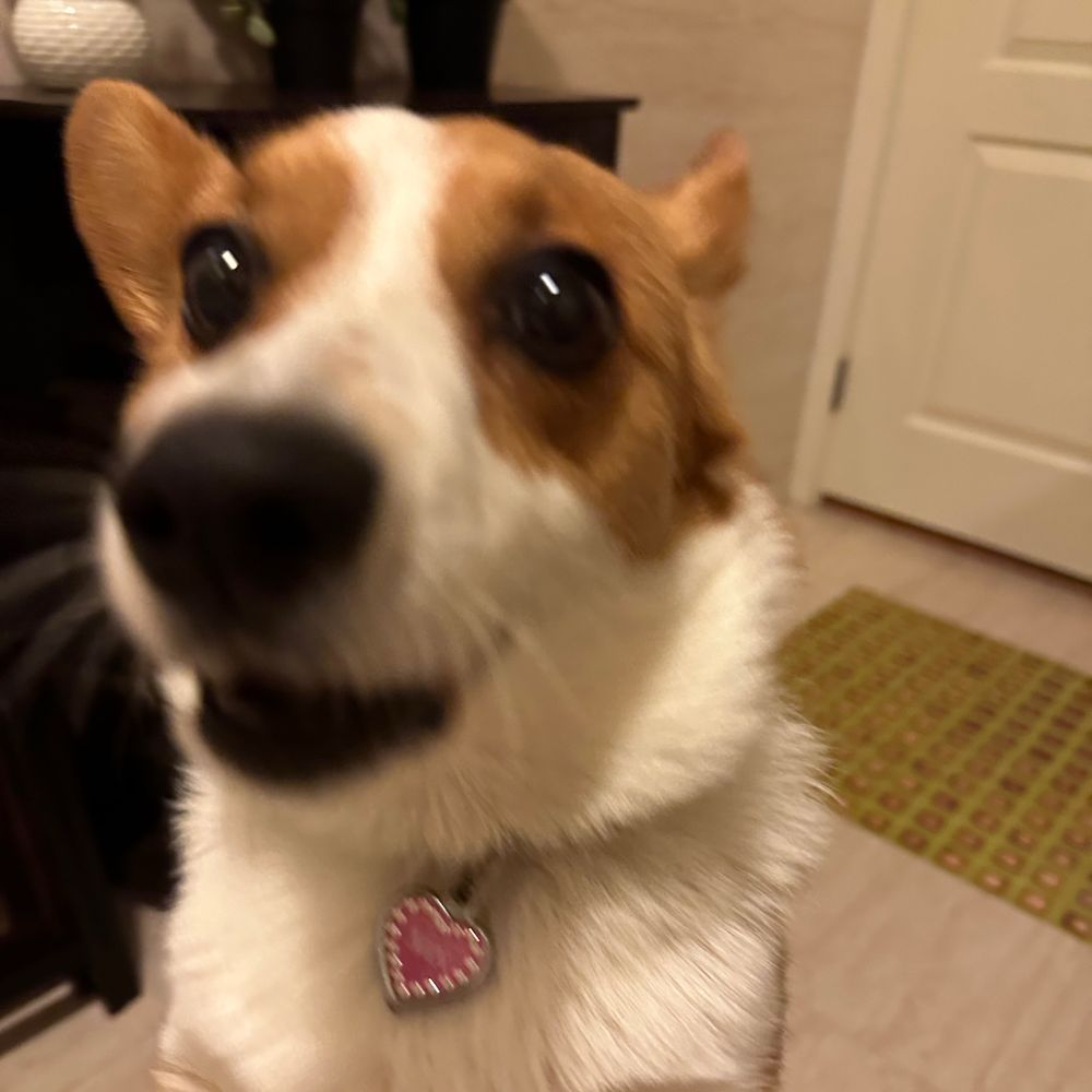 Minpup