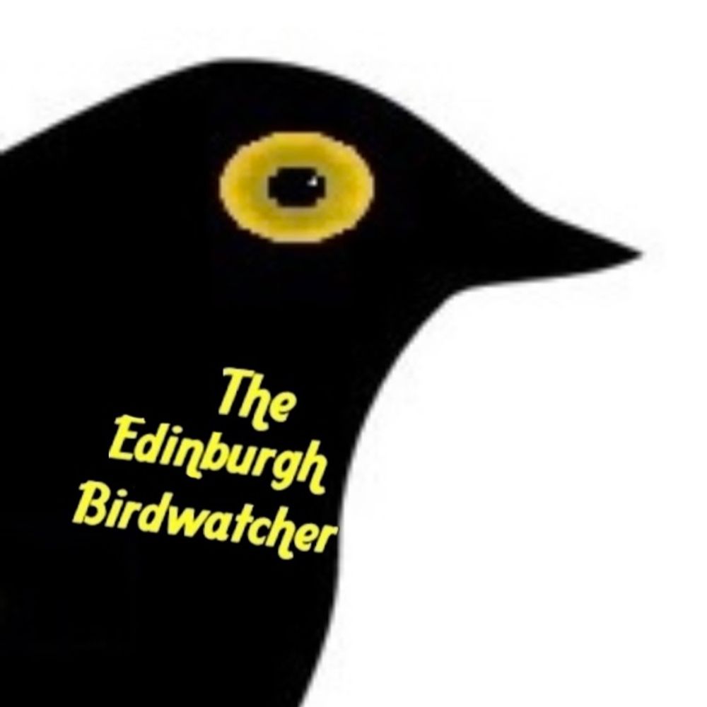 The Edinburgh Birdwatcher