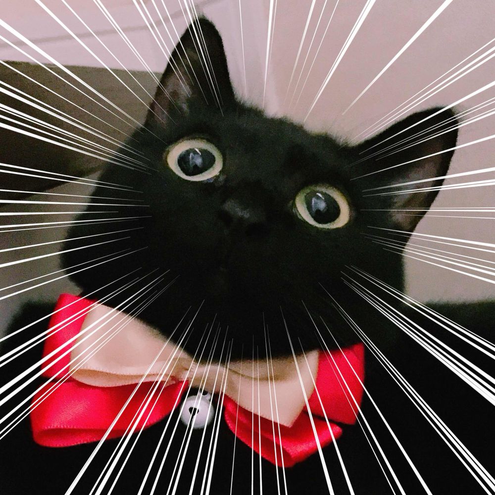 マミ太郎