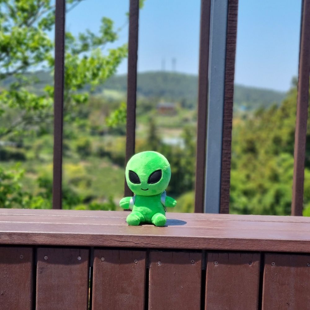외계생명체