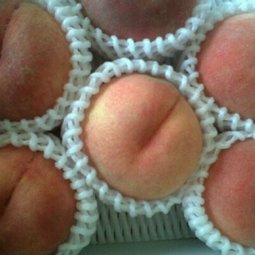 melocoton🍑