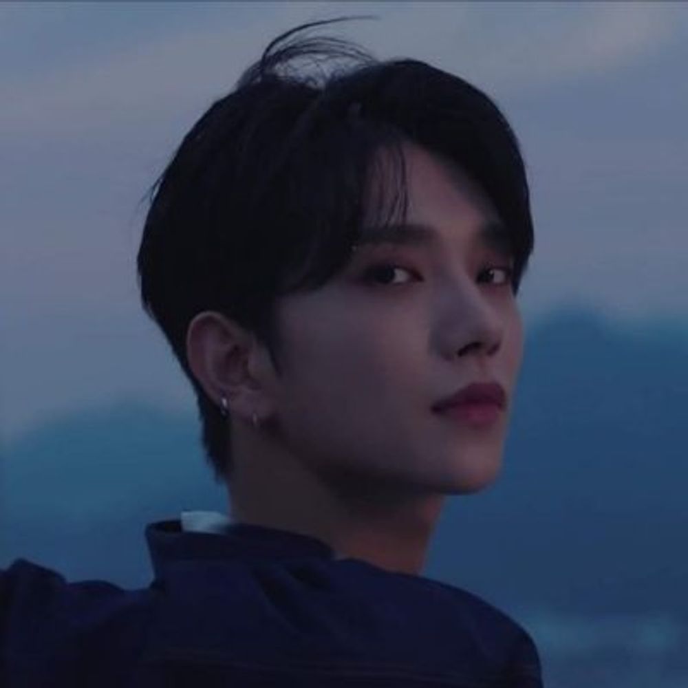 felix 🐳
