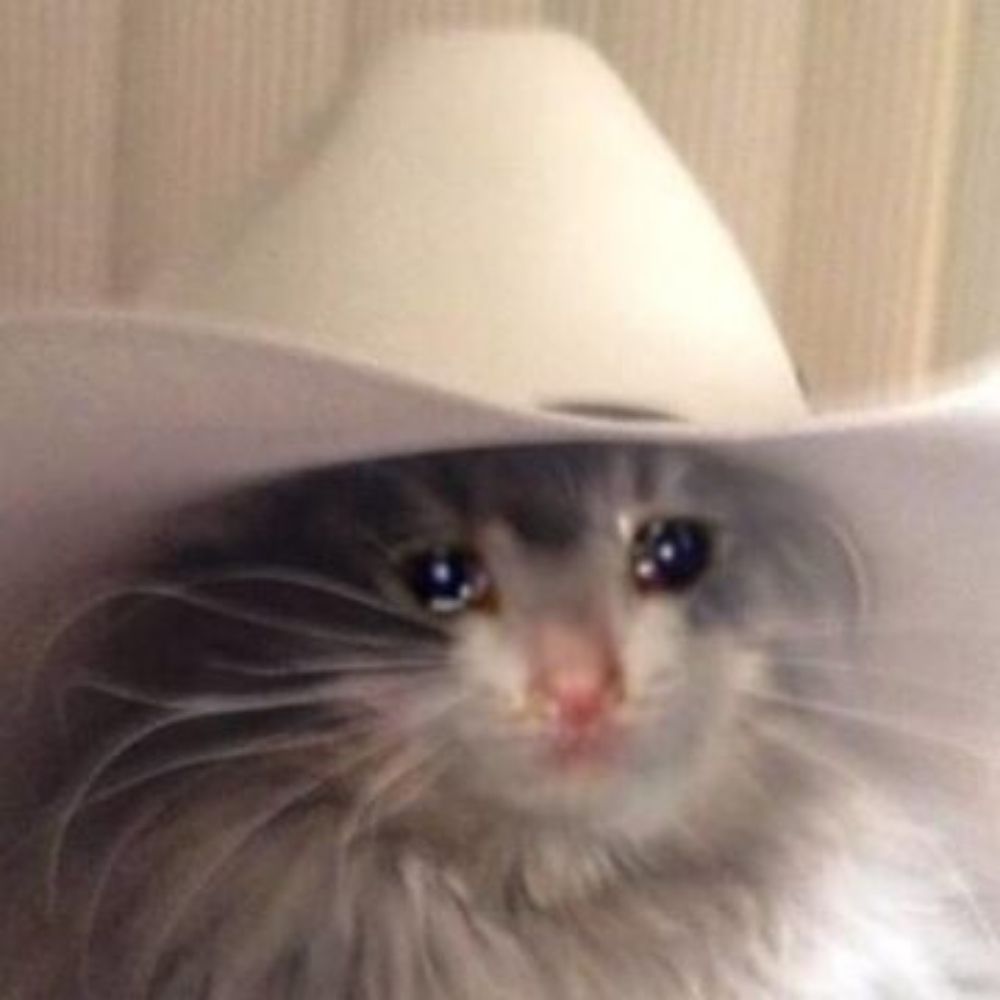 Yeehaw Catboy