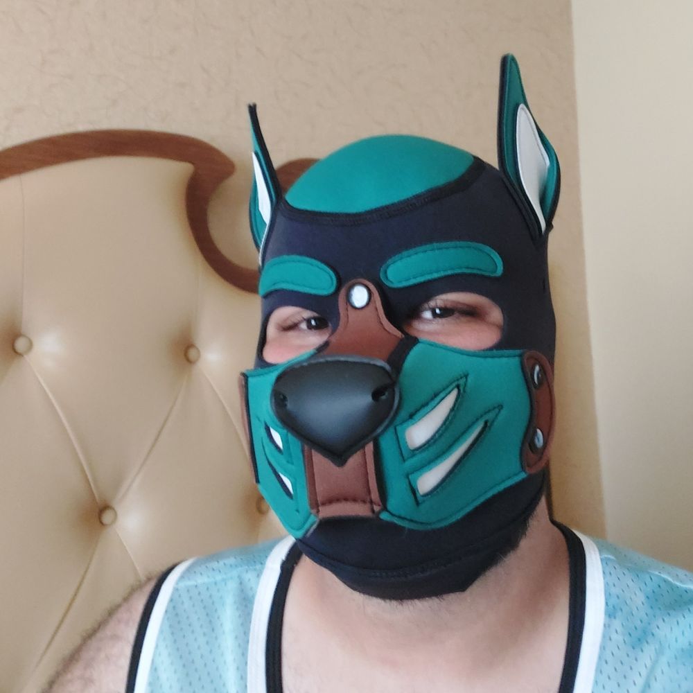 Pup Beau 💚