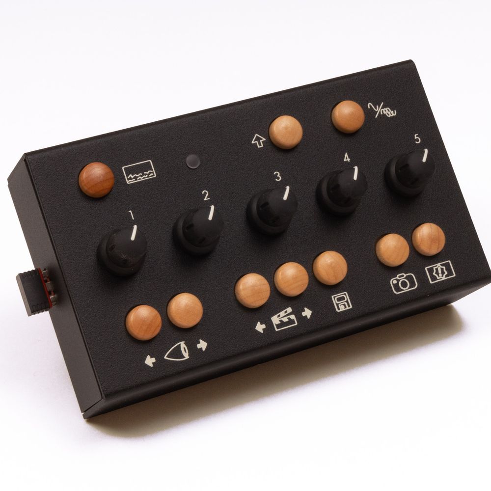Critter & Guitari