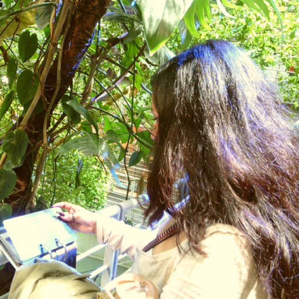 tatis