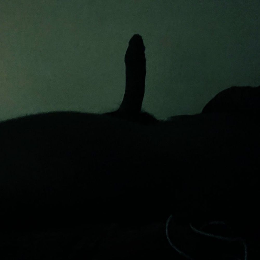 p3rvpenis