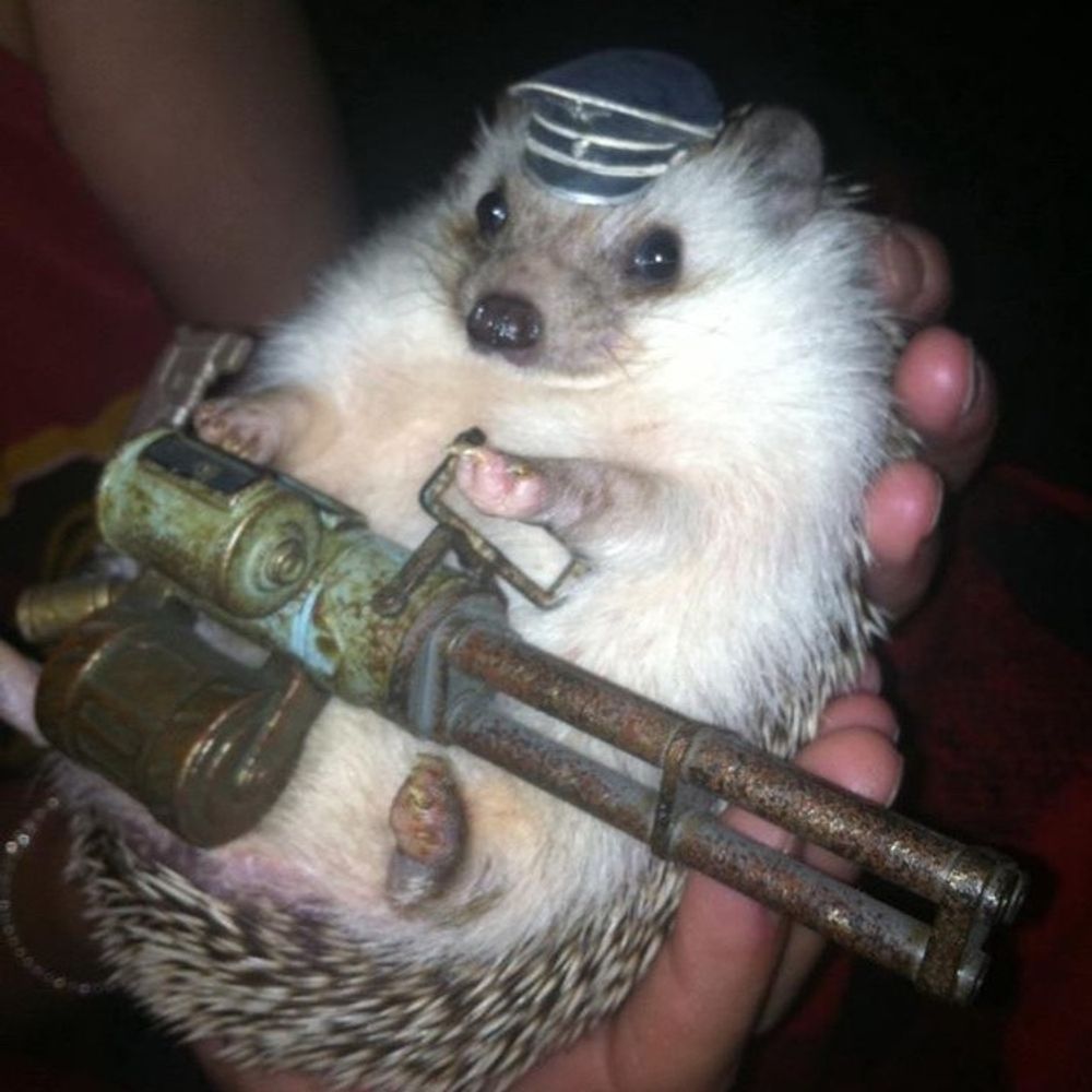 Sledgehog