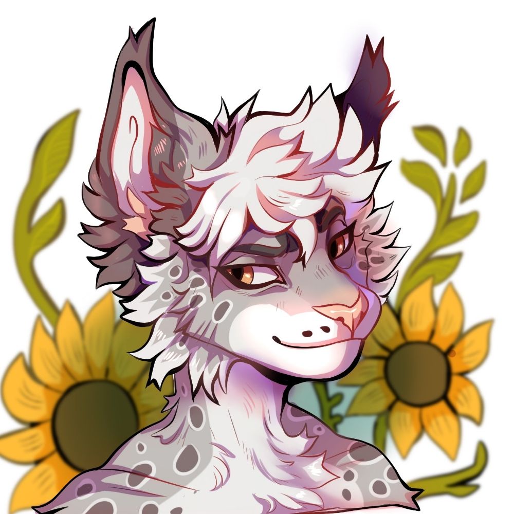 shiroii 🌻