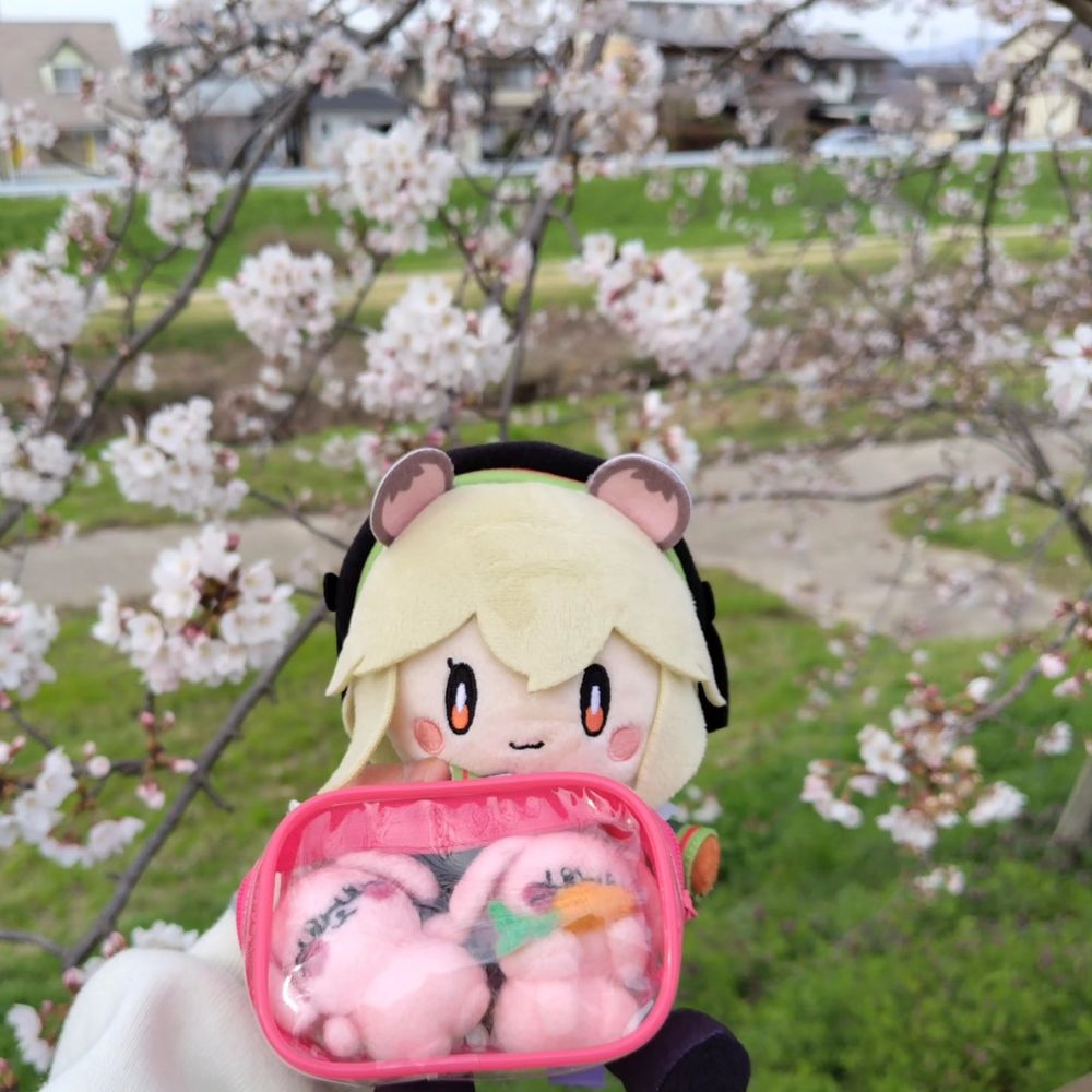 ちぃる