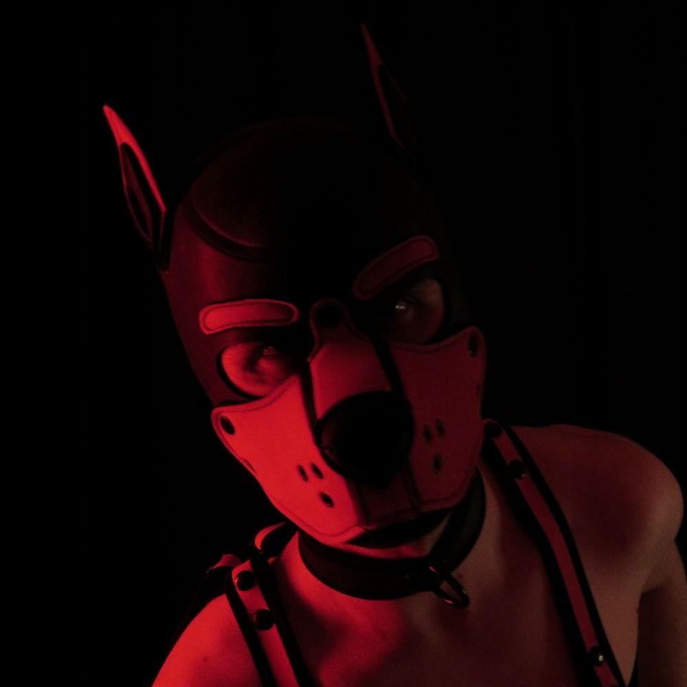 YoungFitPup 🔜 FOLSOM Berlin 2025
