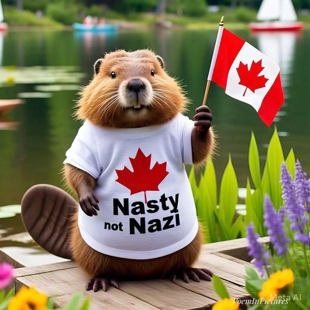 Froggles 🇨🇦