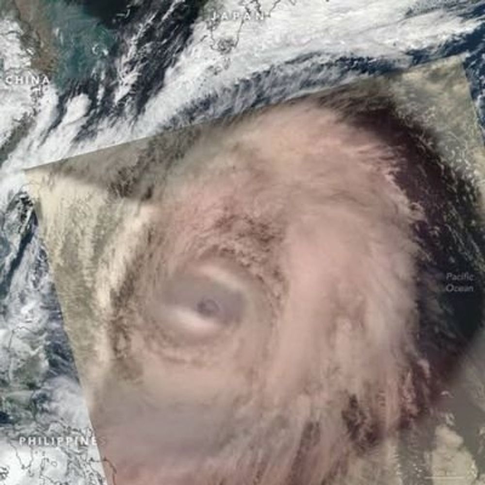 野獣先輩台風