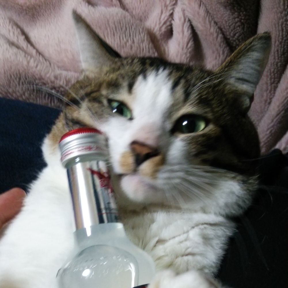 まぁーしぃー
