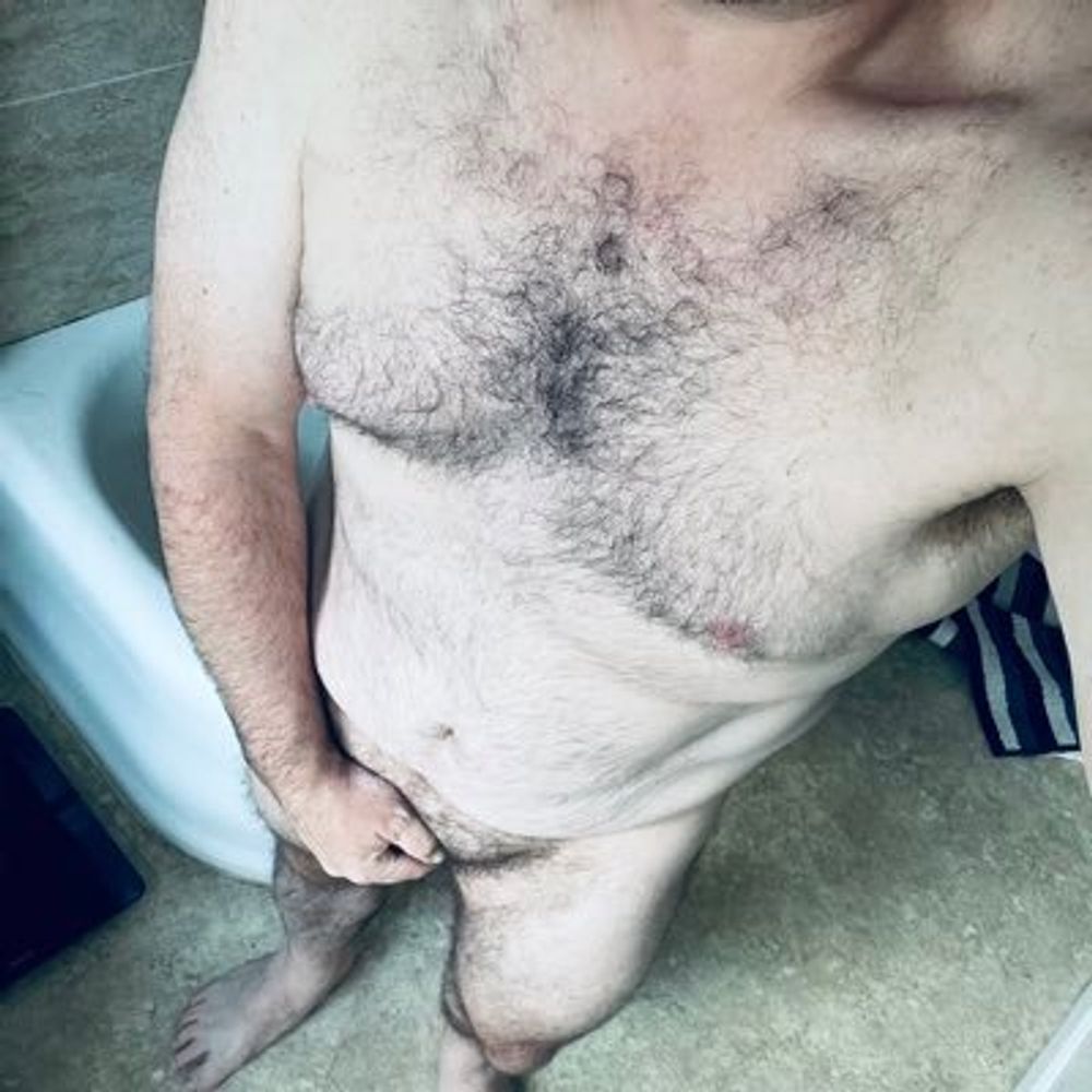 PNW Bare Bear