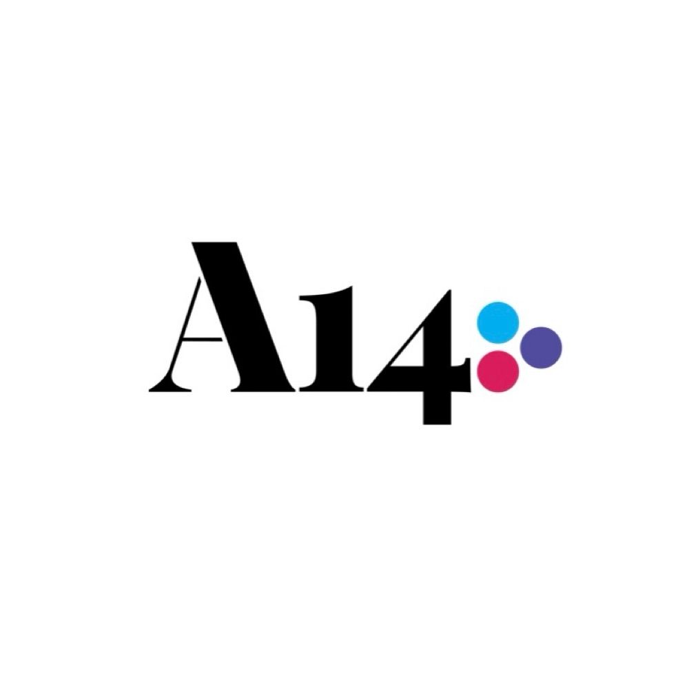 Artículo 14