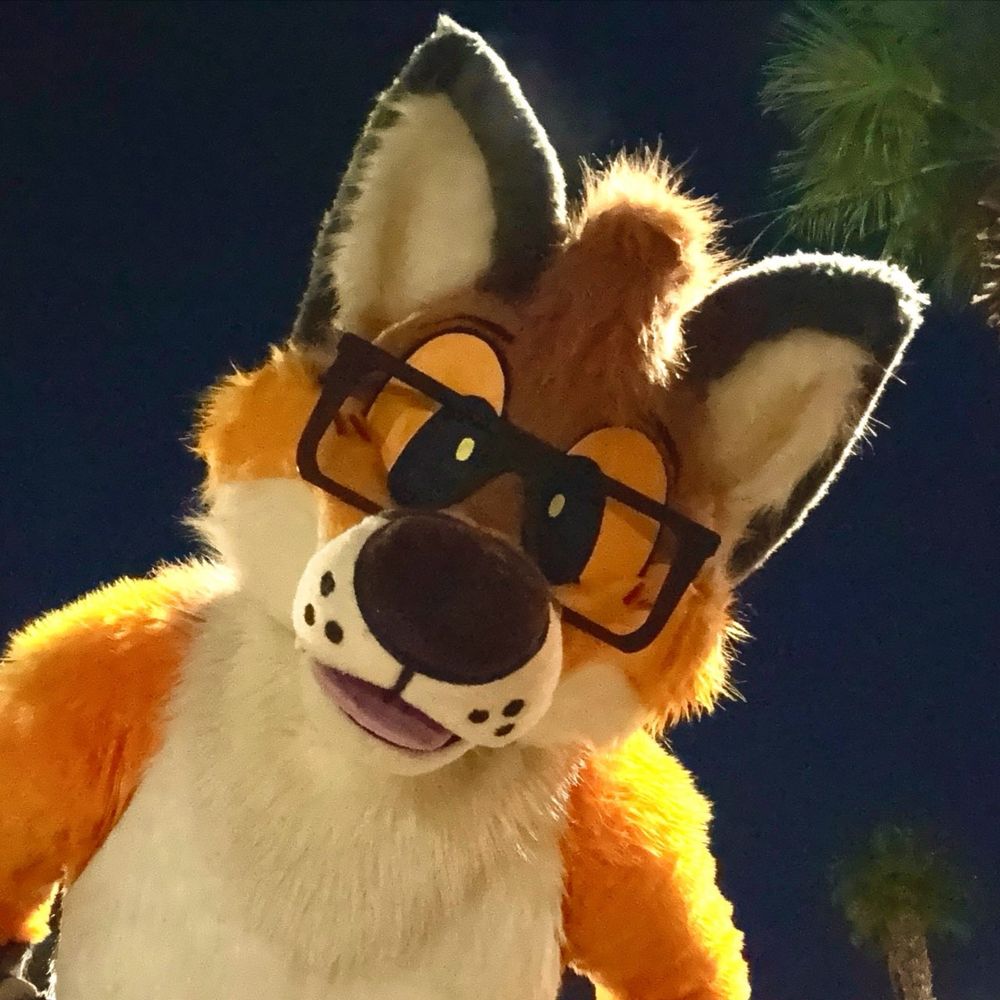 Riley 🦊🍥🔜 Anthrocon 24’'s avatar