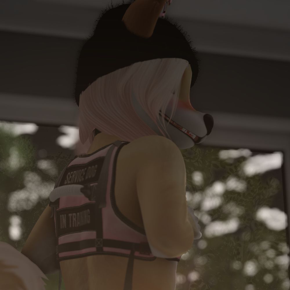 Akari