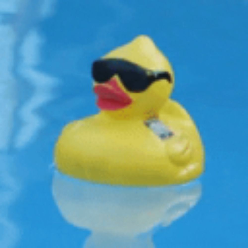 vlOd