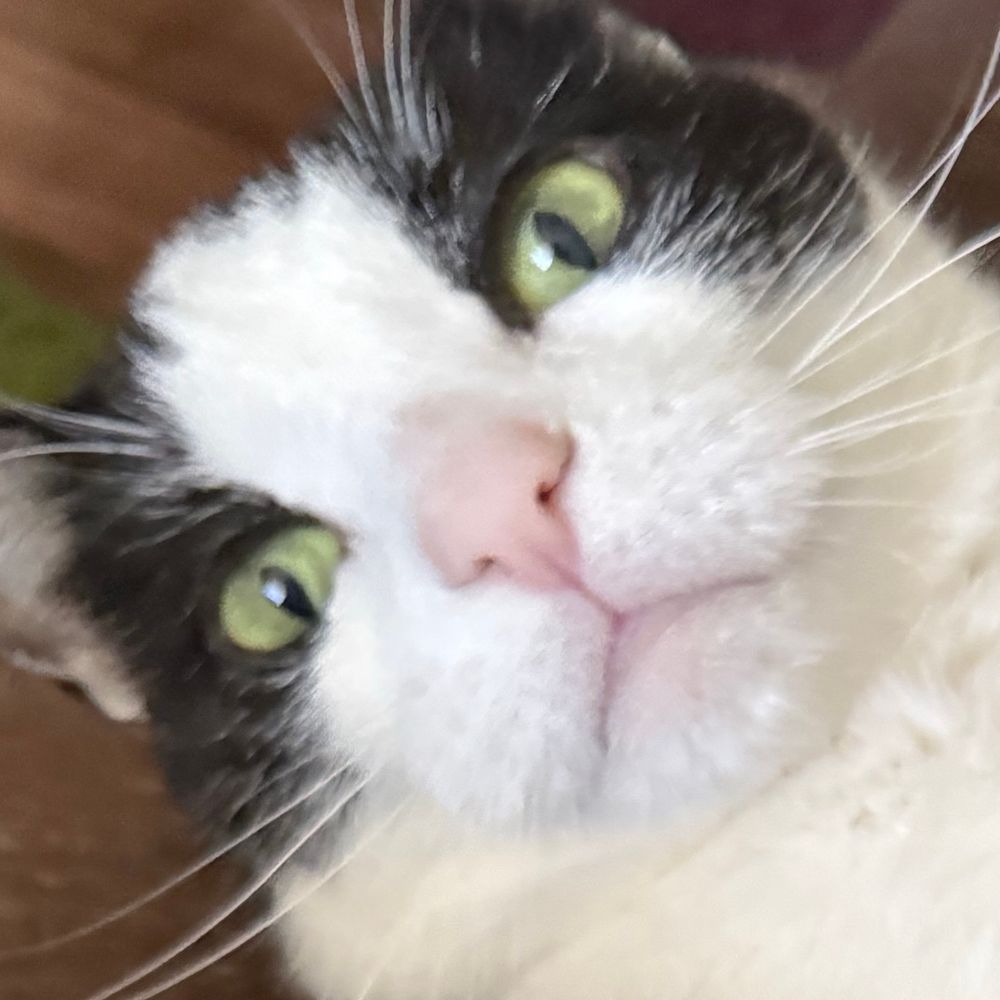 𝙢𝙞𝙡𝙩