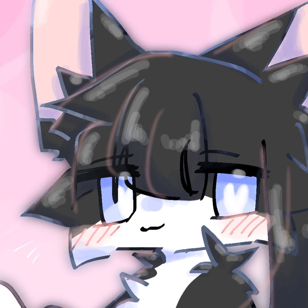 くろねこ✨