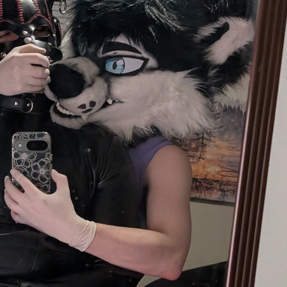 Leon Husky