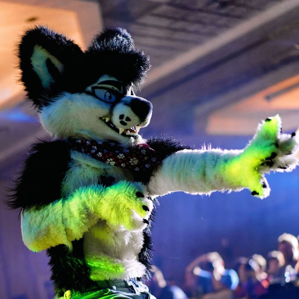 Leon Husky