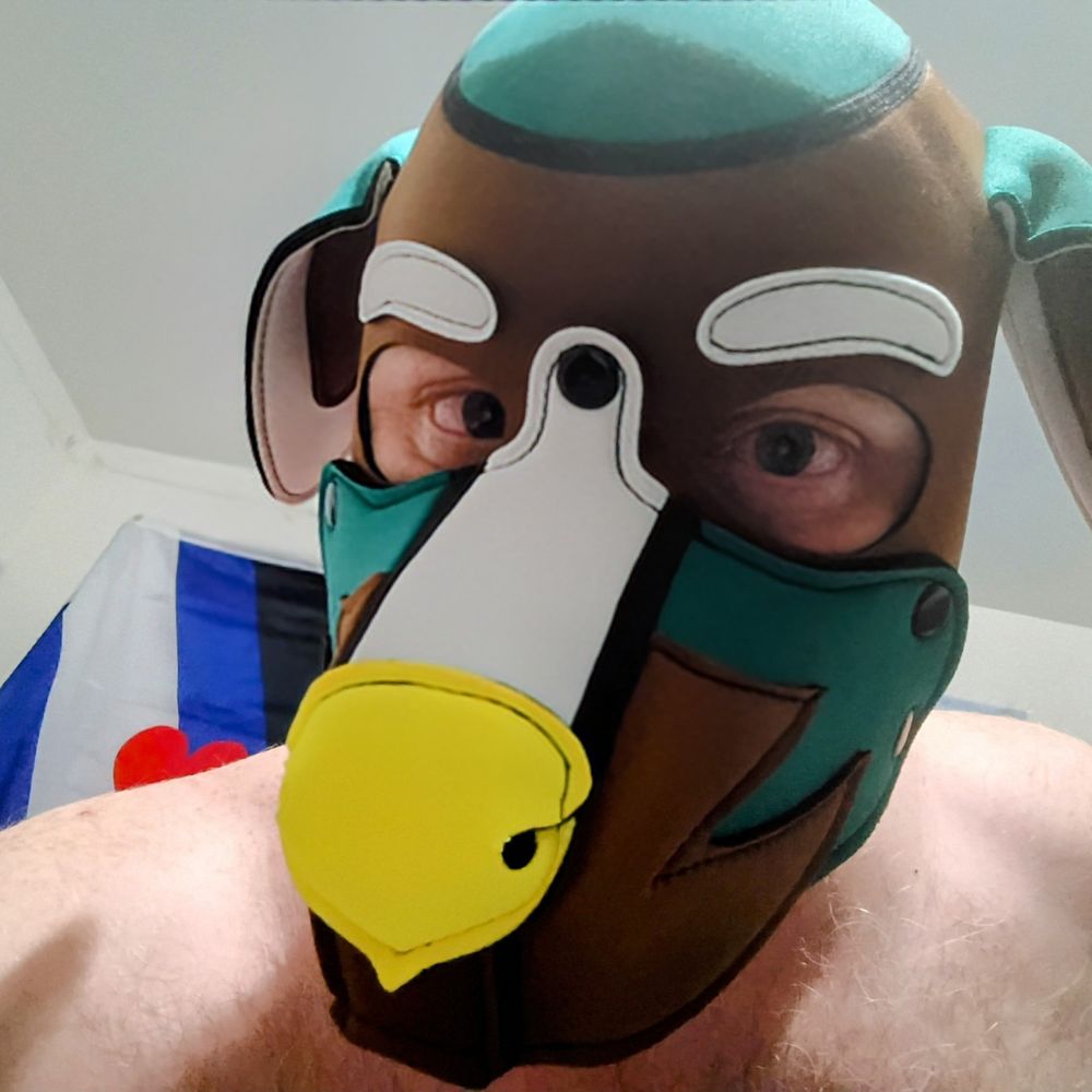 pupboozer.bsky.social