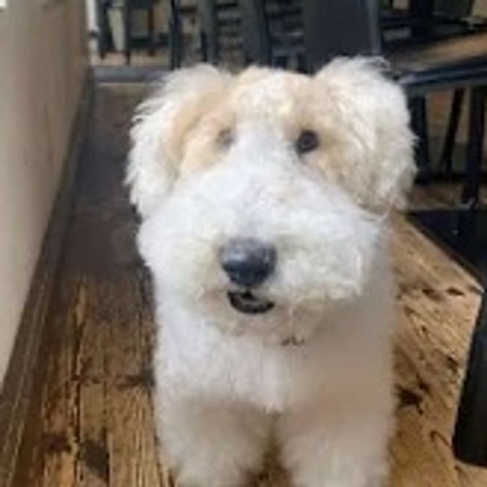 Qwumpus