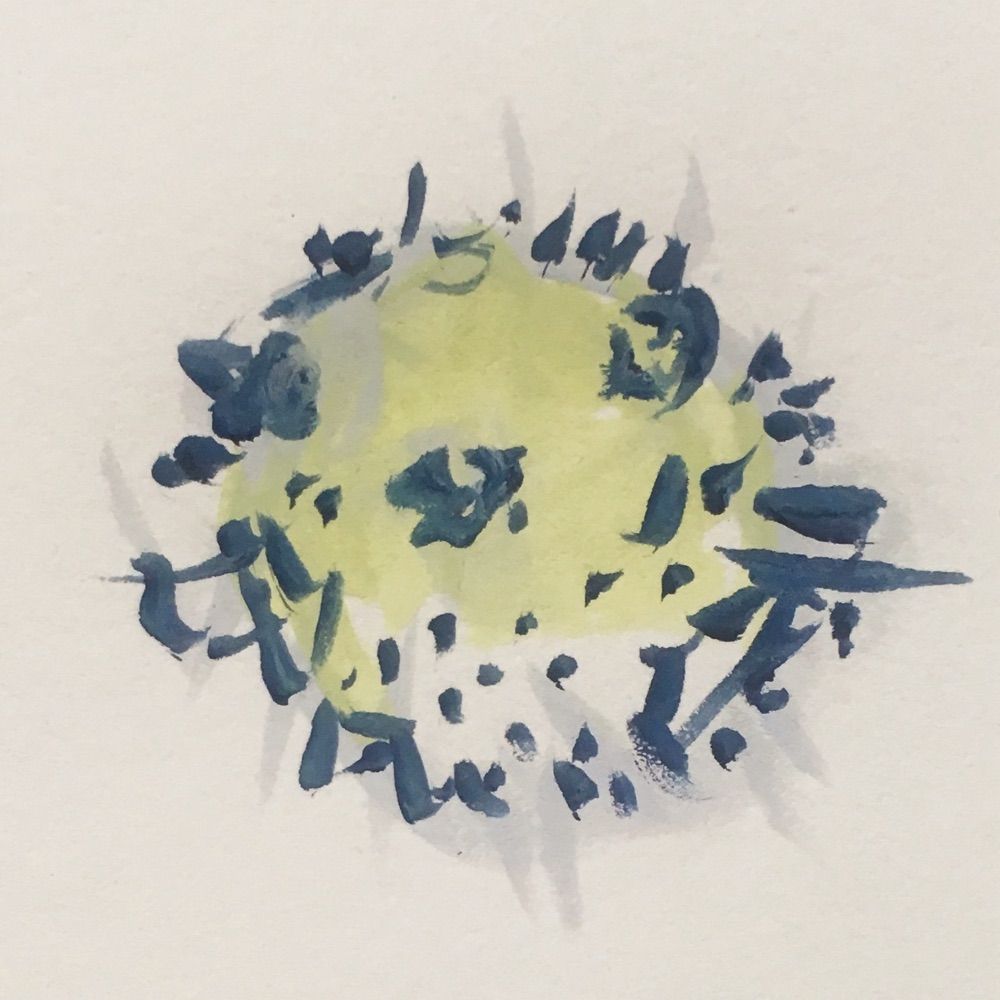 Fugu🐡