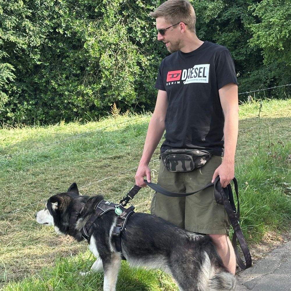 gartenhund.bsky.social profile picture