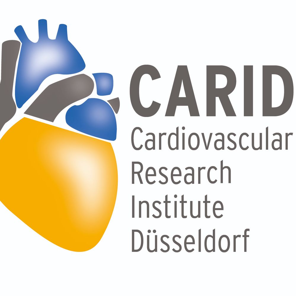 Cardiovascular Research Institute Düsseldorf