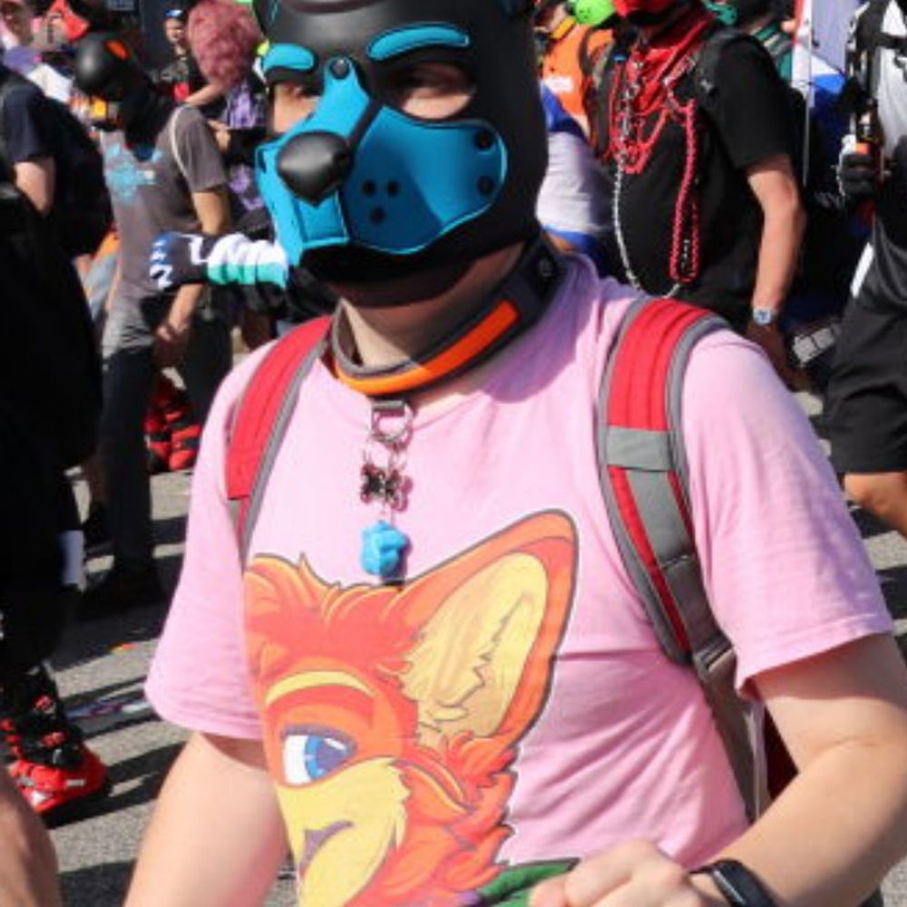 Pup_Kerino