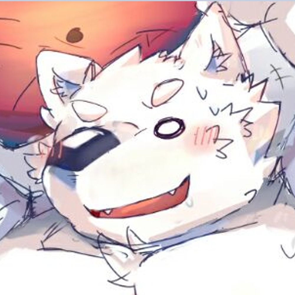 孤斗士丶猑