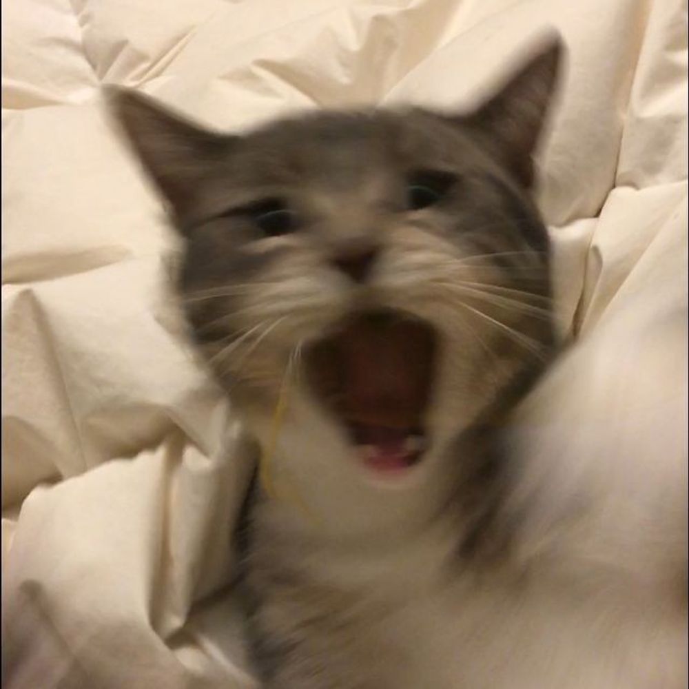 sekar