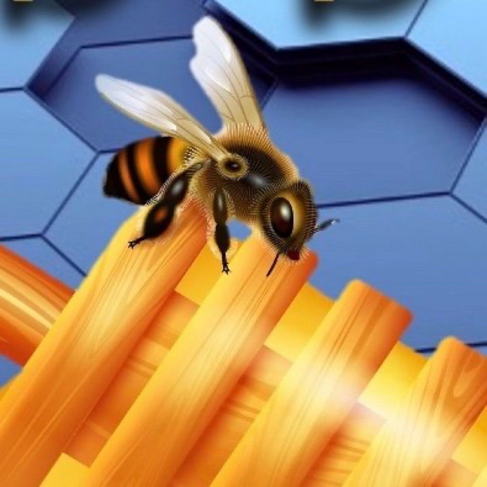 B’s Bees