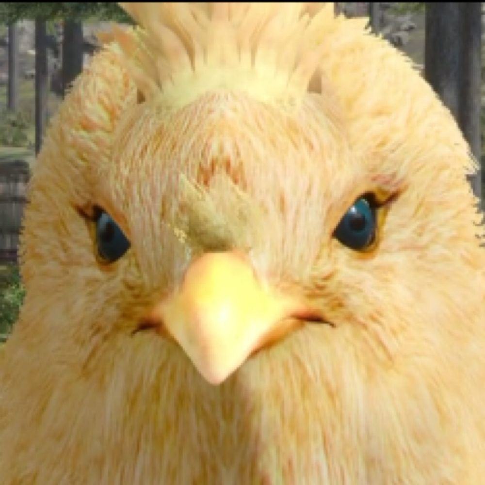 Meep