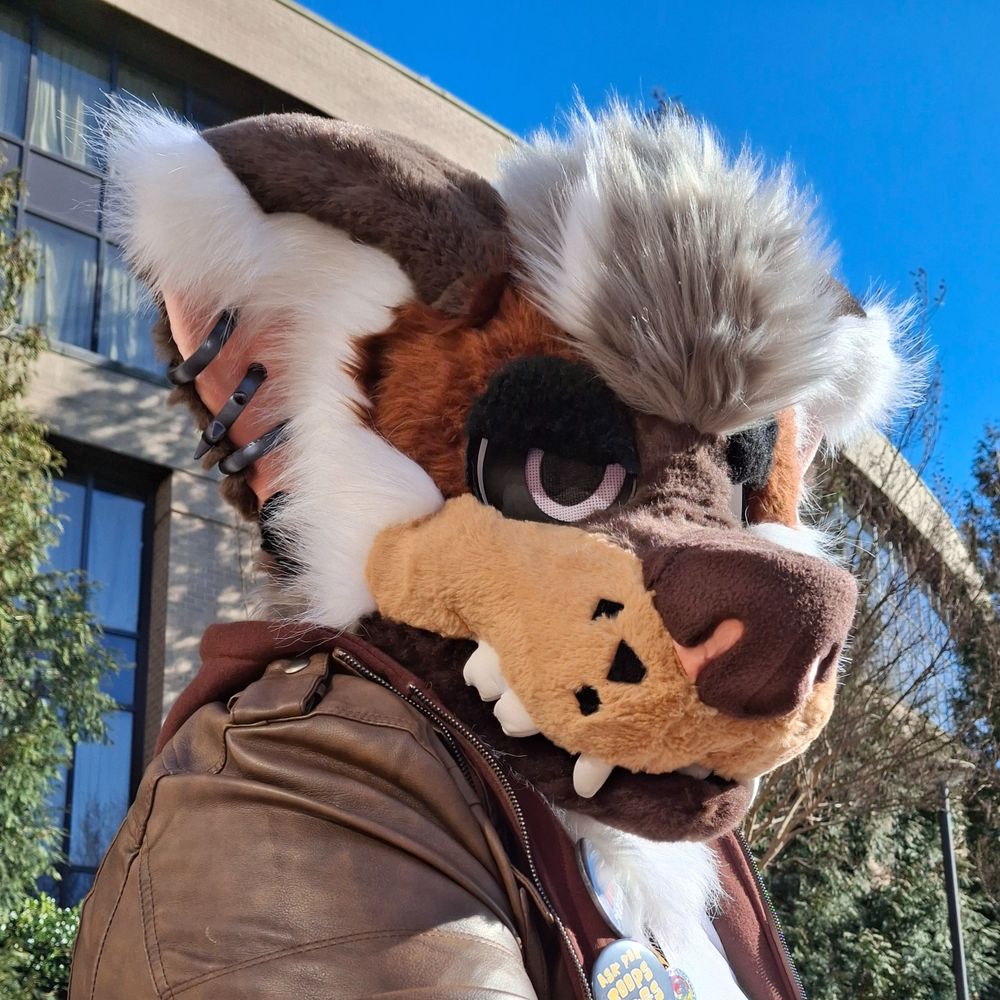 Alec The Coyote