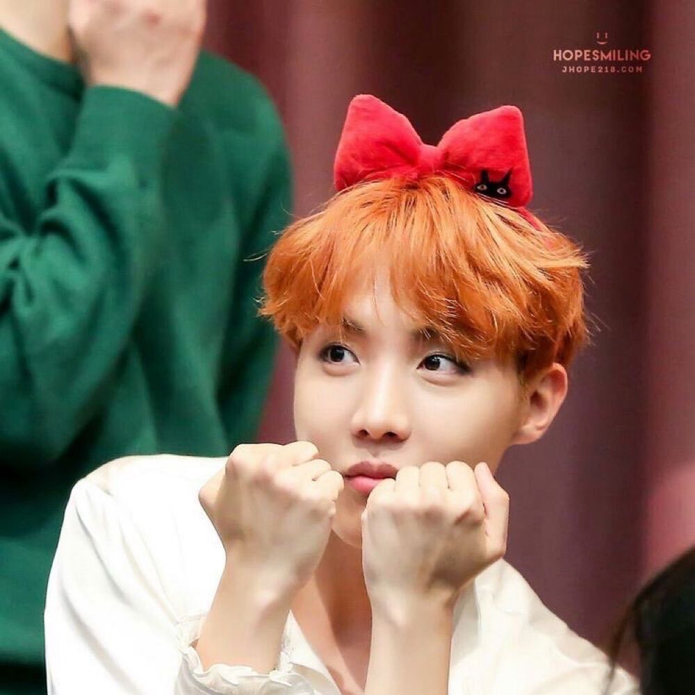 Echo is coming⁷ ✨BTS Year