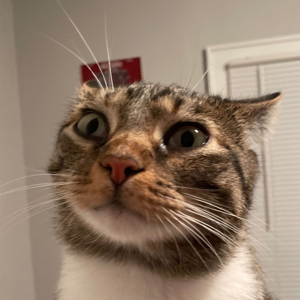 Nik