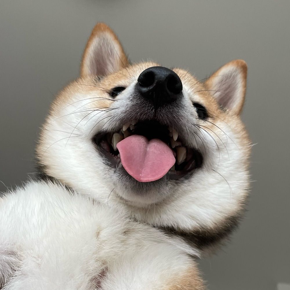 ゴマ